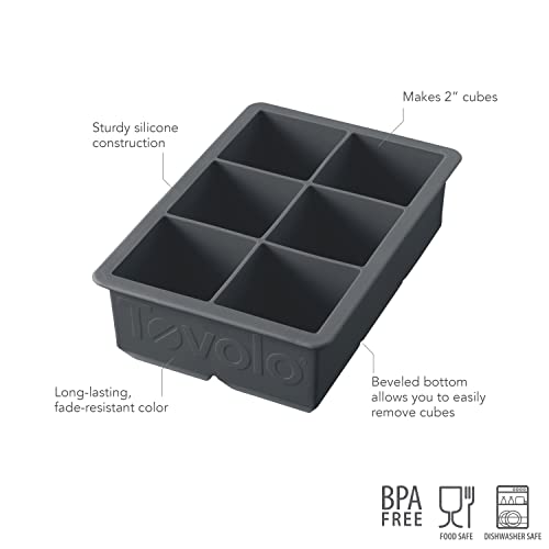Tovolo King Cube Ice Tray (Charcoal) - Reusable & Large Silicone Molds –  Drink With Greg LLC